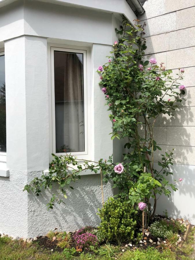 Apartamento Gestorfer Koetnerhof Business Und Landlust Springe Exterior foto
